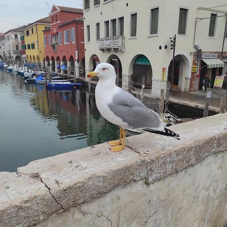 Ca' Dell'Angelo Bed and Breakfast Chioggia Buitenkant foto
